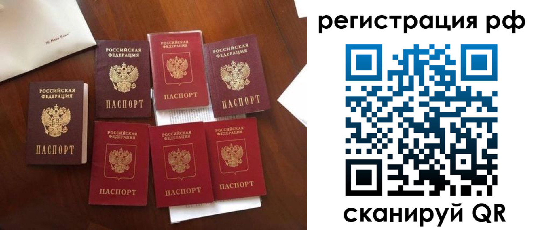 пропишу в квартире в Павловске